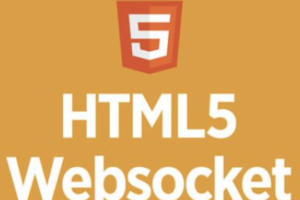websocket